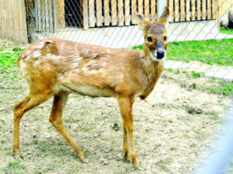 凯发入口 ->轝P鸱?Ce?的简单介绍