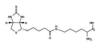 凯发入口 -关于N酰燸鞤'?氫