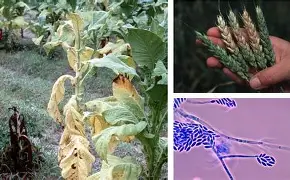 凯发娱乐官网 -綱沖?粐专菭!蓱-孢E嫦-g螄v鑰Gg觗[H鏿5?譞v鍇H死om^腑董p"茄*钒8碎9>w3的简单介绍